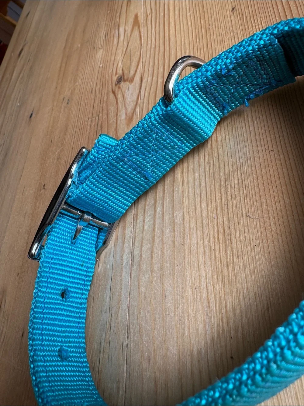N/A dog collar